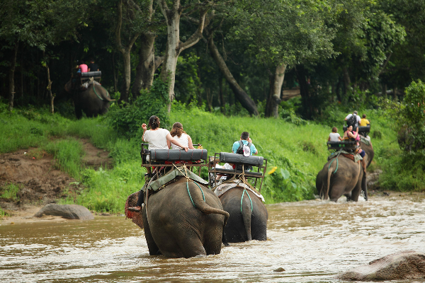 2D1N Chiang Mai & Lahu Village Trekking Tour - photo 3